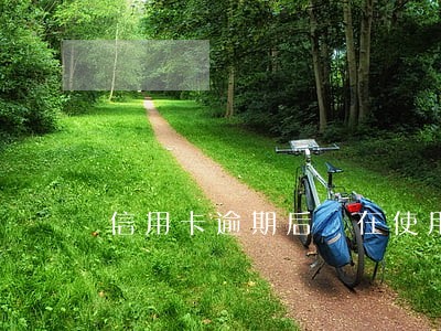 信用卡逾期后 在使用两年 信用卡逾期后 在使用两年